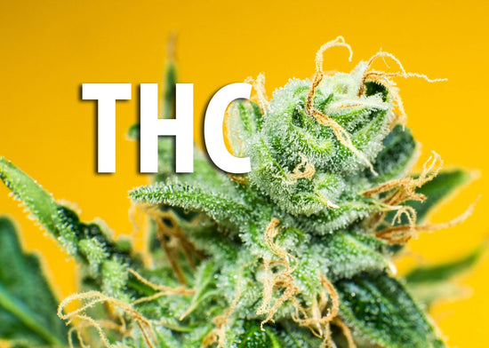 10 THINGS YOU SHOULD KNOW ABOUT THC